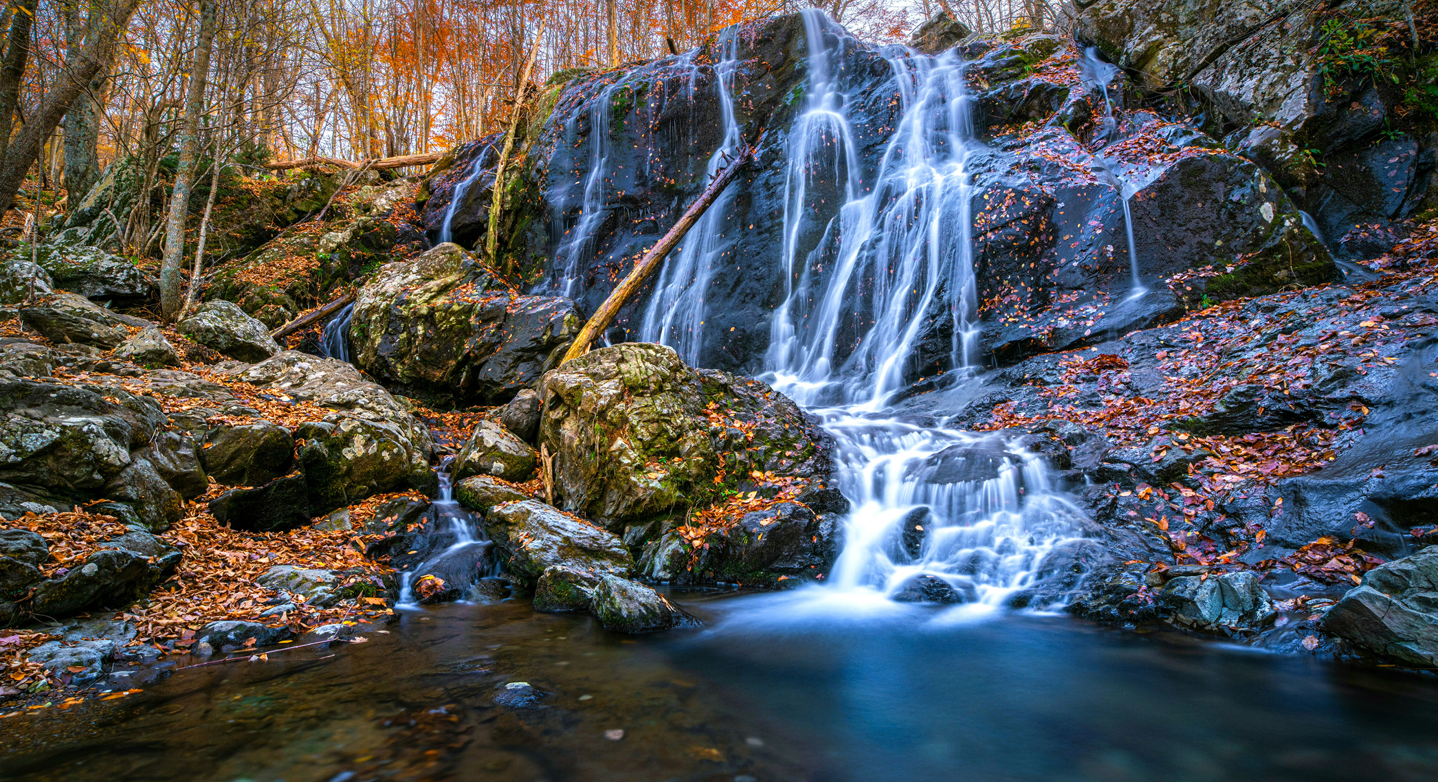 Bluegreen Vacations
